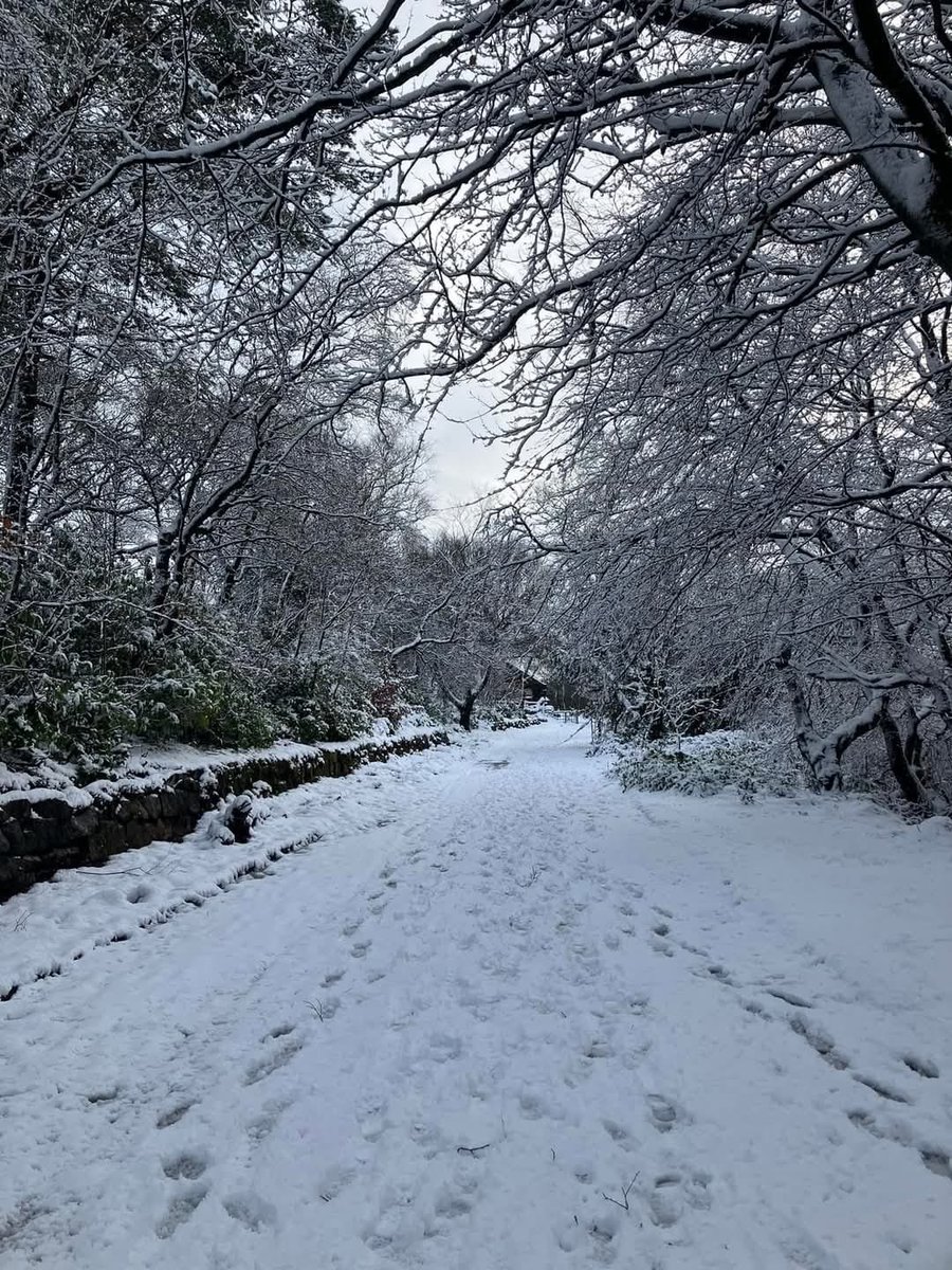 Happy New Year everyone 🥳 We had a lovely morning out on patrol in the snow and dealing with a fallen tree 💪🏻🤩. 

It was great to see so many people at our volunteer session on Saturday, so much progress was made 🤩 

A great start to the year 🥳