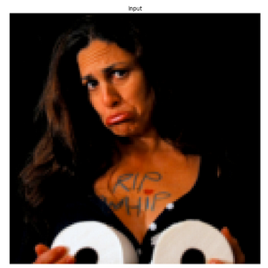 ryan mei tweet media