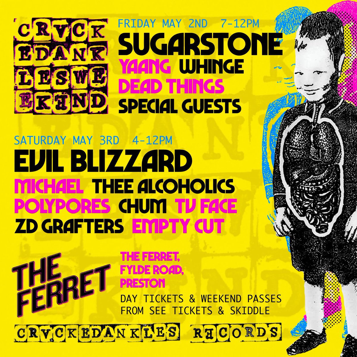 The Ferret tweet media