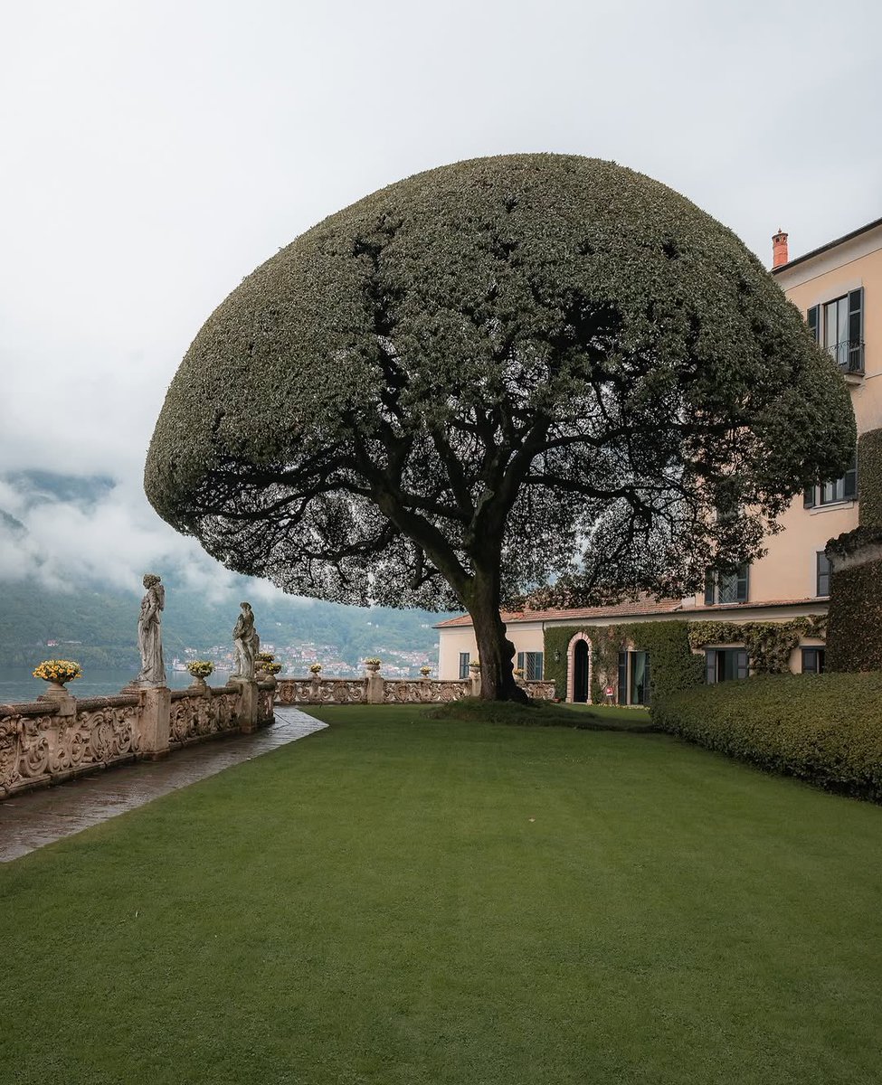 archi_tradition's tweet photo. Lake Como, Italy 🇮🇹 https://t.co/GYhVbpXQFj
