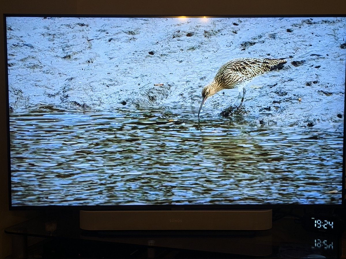 PaulBrook76's tweet photo. You might have seen a lovely piece about the Tyne Derwent Way, Dunston Staiths and urban nature in Gateshead on @BBCTheOneShow tonight. I have the pleasure of working with this great team on this fantastic project! Find out more at https://t.co/46wcdAUeVL https://t.co/U35mAJEqh9