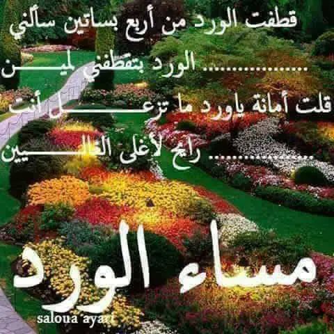 مساء الورد والفل والياسمين