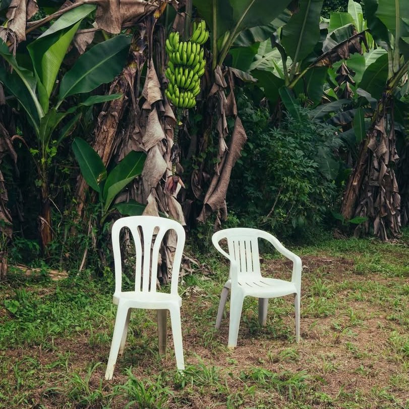 “DeBÍ TiRAR MáS FOToS” — Apple Music Update: (26 #1’s) 

#1. Argentina
#1. Belgium
#1. Belize
#1. Bolivia
#1. Brazil
#1. Chile
#1. Colombia
#1. Costa Rica
#1. Dominican Republic
#1. Ecuador
#1. El Salvador
#1. Guatemala
#1. Honduras
#1. Malta
#1. Mexico
#1. Nicaragua
#1. Panama