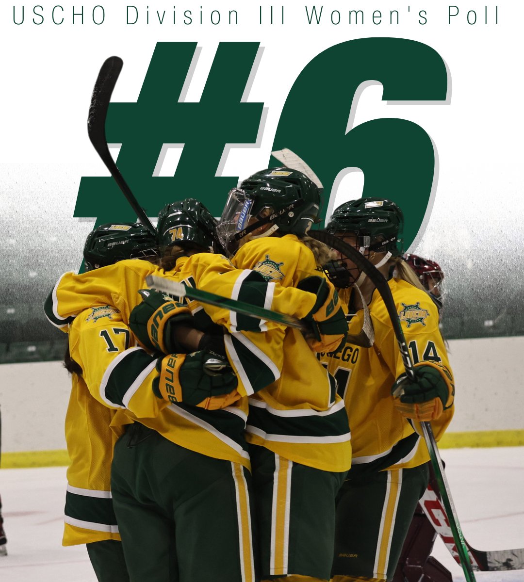 The Lakers women's ice hockey team has moved up to #6 in the USCHO Division III Women's Poll this week! This is the highest ranking in program history!

Their season will continue on the road this Friday at Plattsburgh State!

#GoLakers