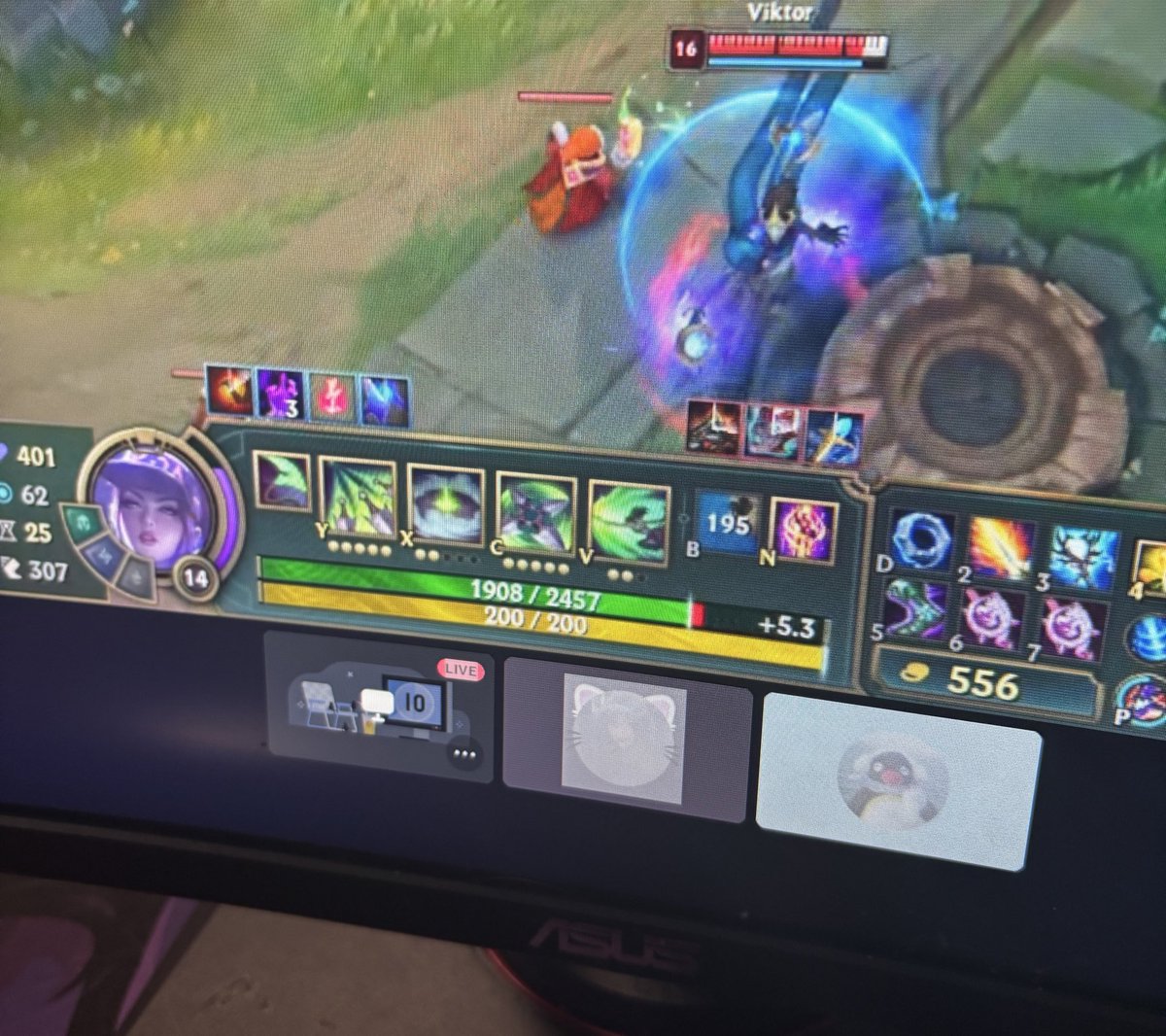 sarahtonin tweet media