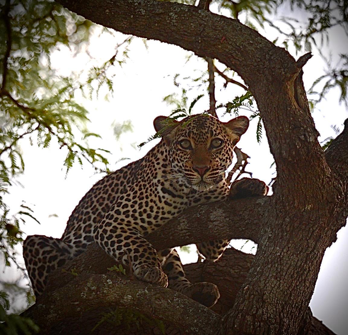 Darren Martin tweet media