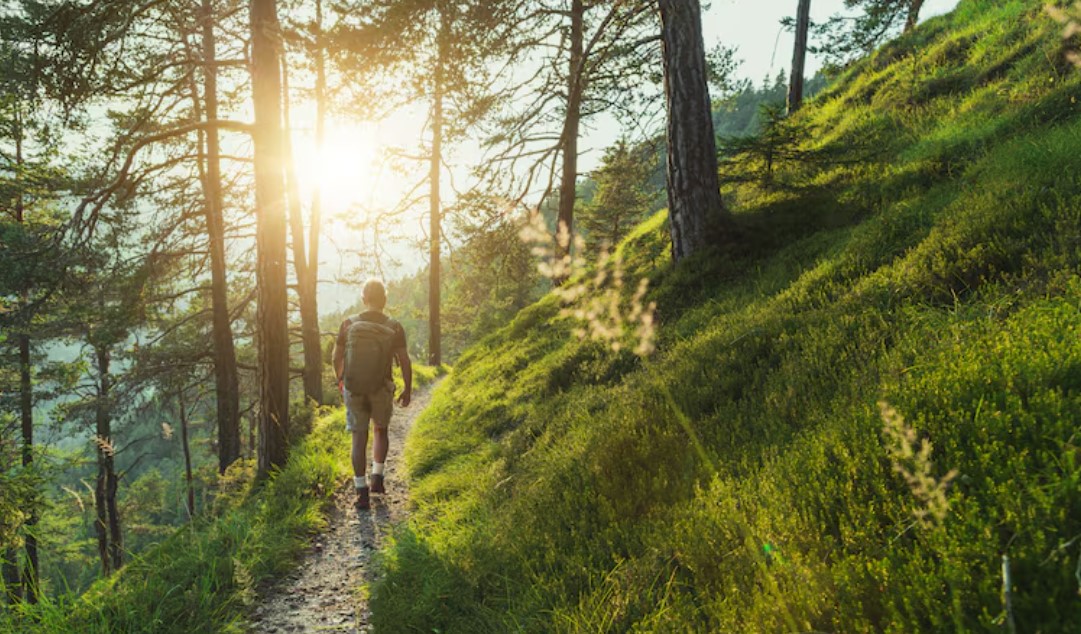 American Physiological Society (@apsphysiology) on Twitter photo "Simply increasing the intensity of some of your exercise from light strolls to faster walks 'can be enough' to boost your health and fitness substantially," says APS member <a href="/gibalam/">Martin Gibala</a>, in a <a href="/washingtonpost/">The Washington Post</a> article. More: wapo.st/3DA9Bu2 #ISpyPhysiology #MembershipMonday "Simply increasing the intensity of some of your exercise from light strolls to faster walks 'can be enough' to boost your health and fitness substantially," says APS member <a href="/gibalam/">Martin Gibala</a>, in a <a href="/washingtonpost/">The Washington Post</a> article. More: wapo.st/3DA9Bu2 #ISpyPhysiology #MembershipMonday