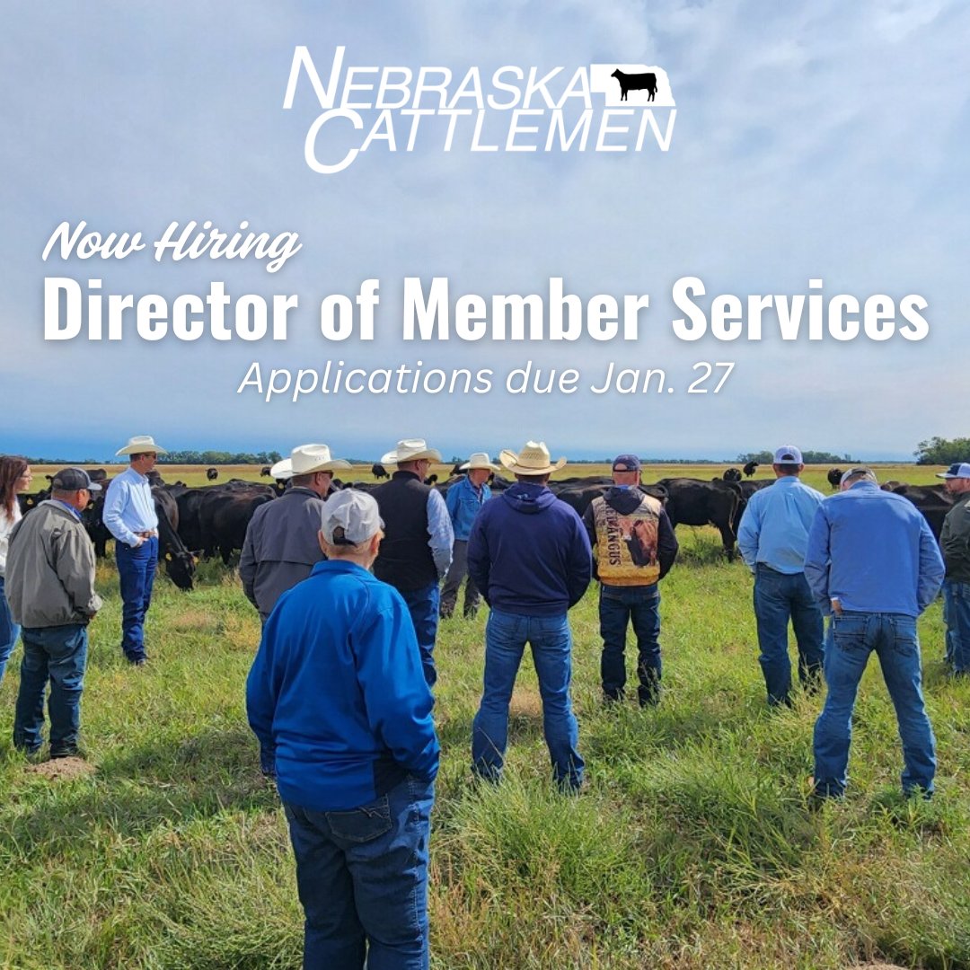 Nebraska Cattlemen is seeking a full-time team member in western Nebraska to serve as the Director of Member Services. 
Applicants may submit a resume and cover letter by close of business on Monday, January 27, 2025, to Laura Field at lfield@necattlemen.org or at 4611 Cattle