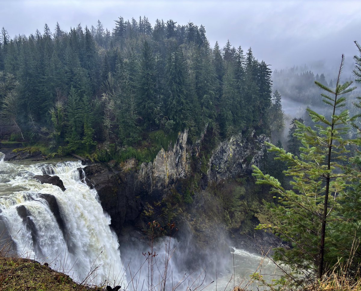 Mia (@toomuchliving) on Twitter photo 