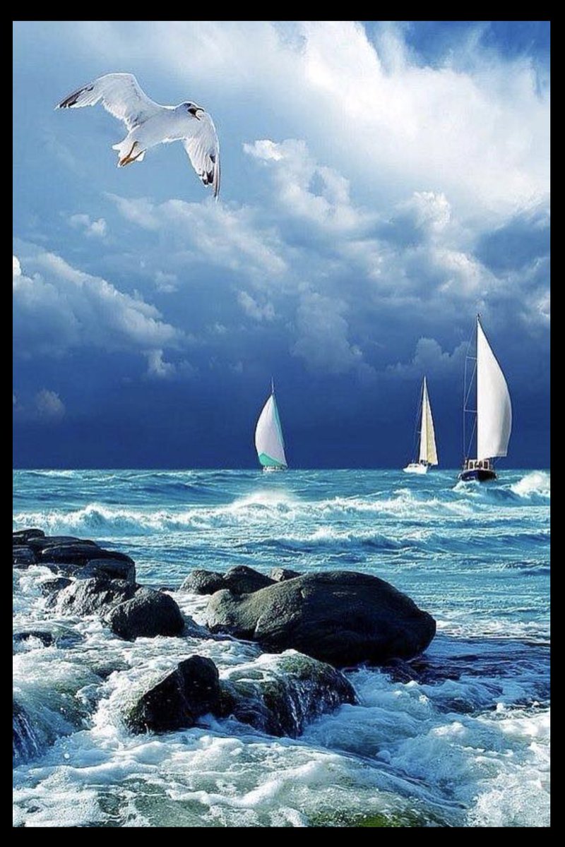 "I am not afraid of storms, for I am learning how to sail my ship."

Louisa May Alcott