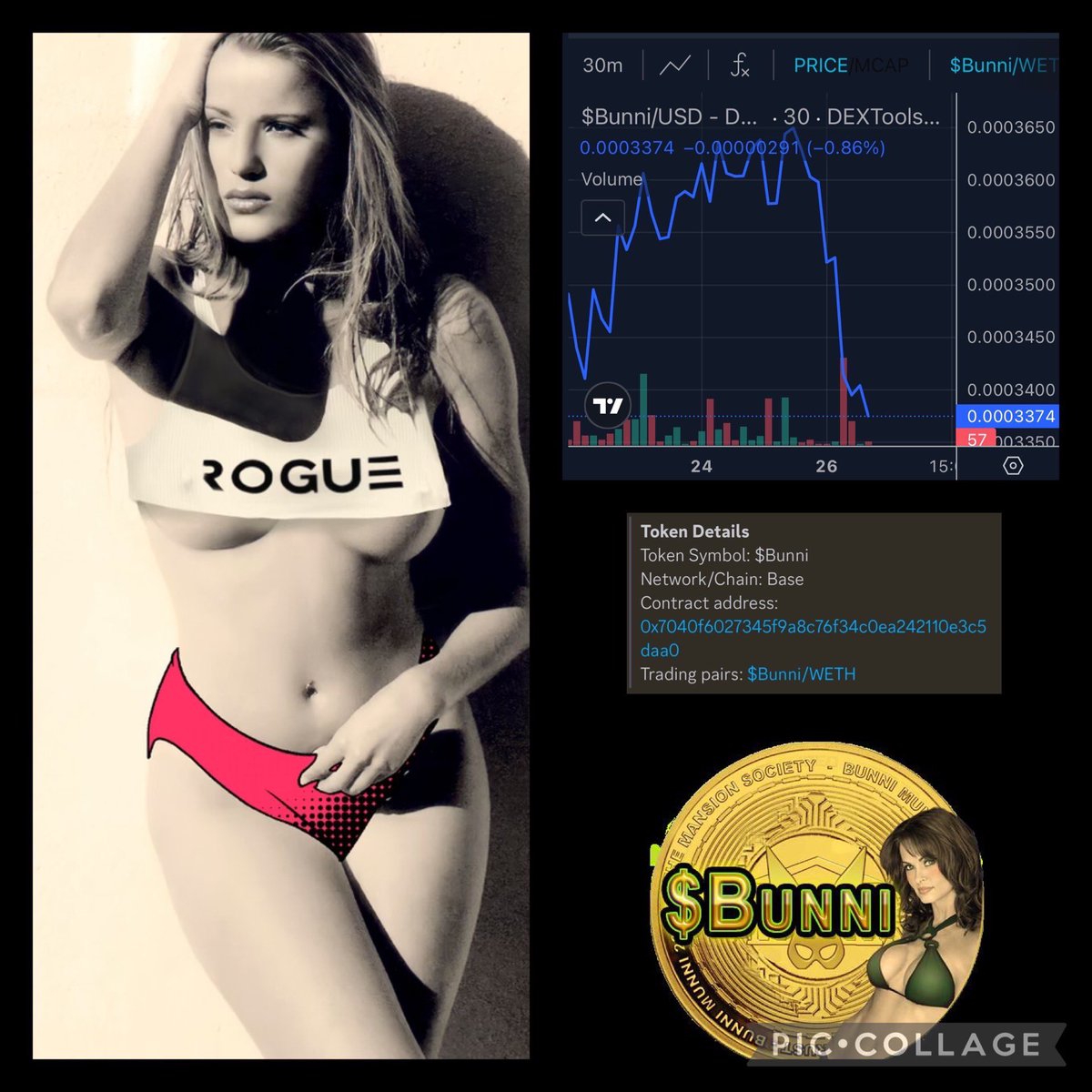 MsNovember94's tweet image. Come join us!! @RogueBunniMunni @theRoguebunnies