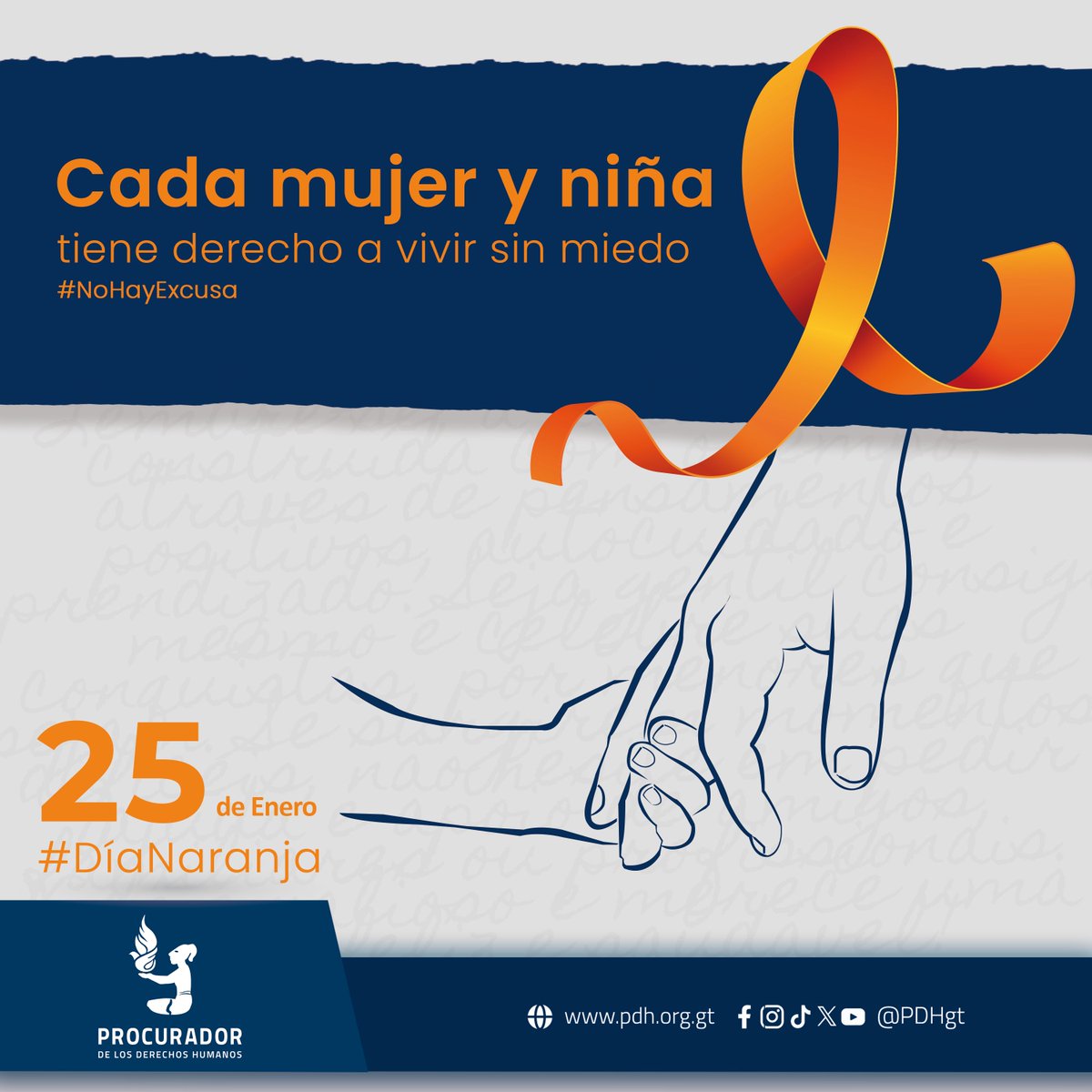 PDHgt's tweet image. 🗓️25 de enero
🟠#DíaNaranja

#NoHayExcusa
