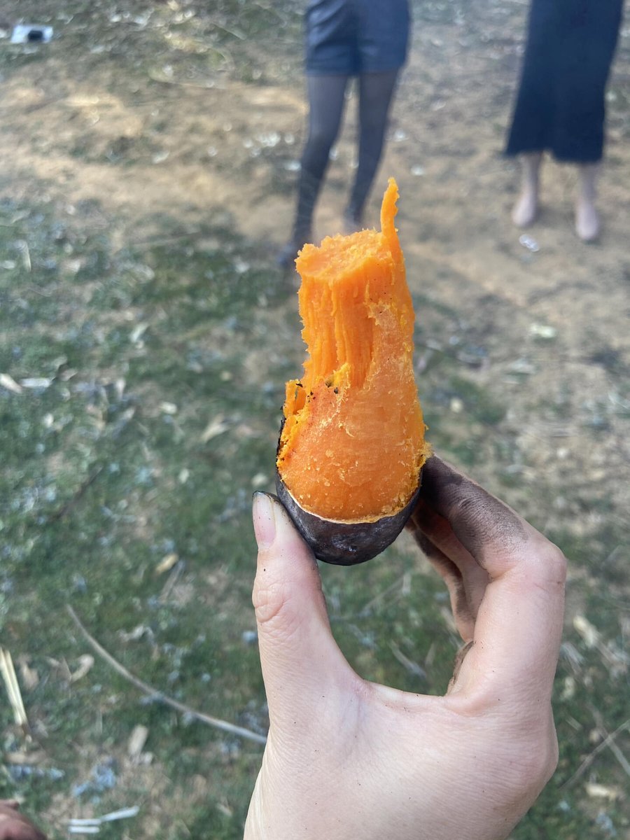 都会はストレスが多いから、田舎の焼き芋に連れて行ってあげる