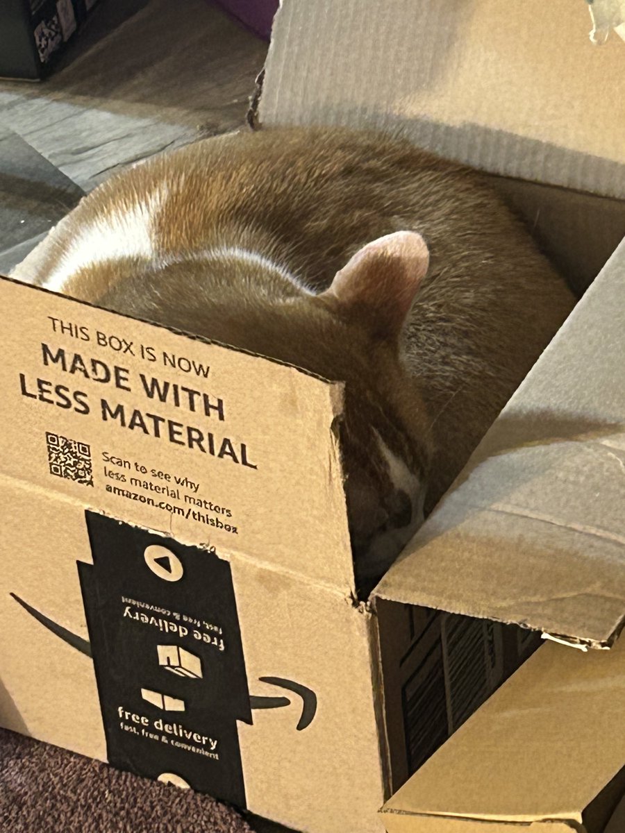 Stephanie Kelly tweet media