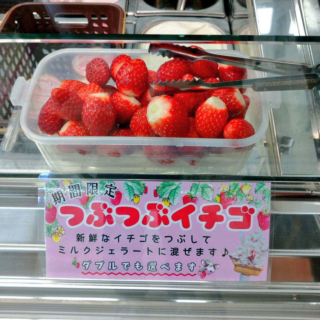 お待たせいたしました❗ 期間限定🍓つぶつぶイチゴがスタートいたし