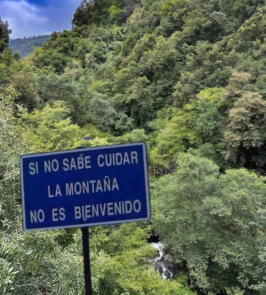 EnsedeCiencia's tweet image. 