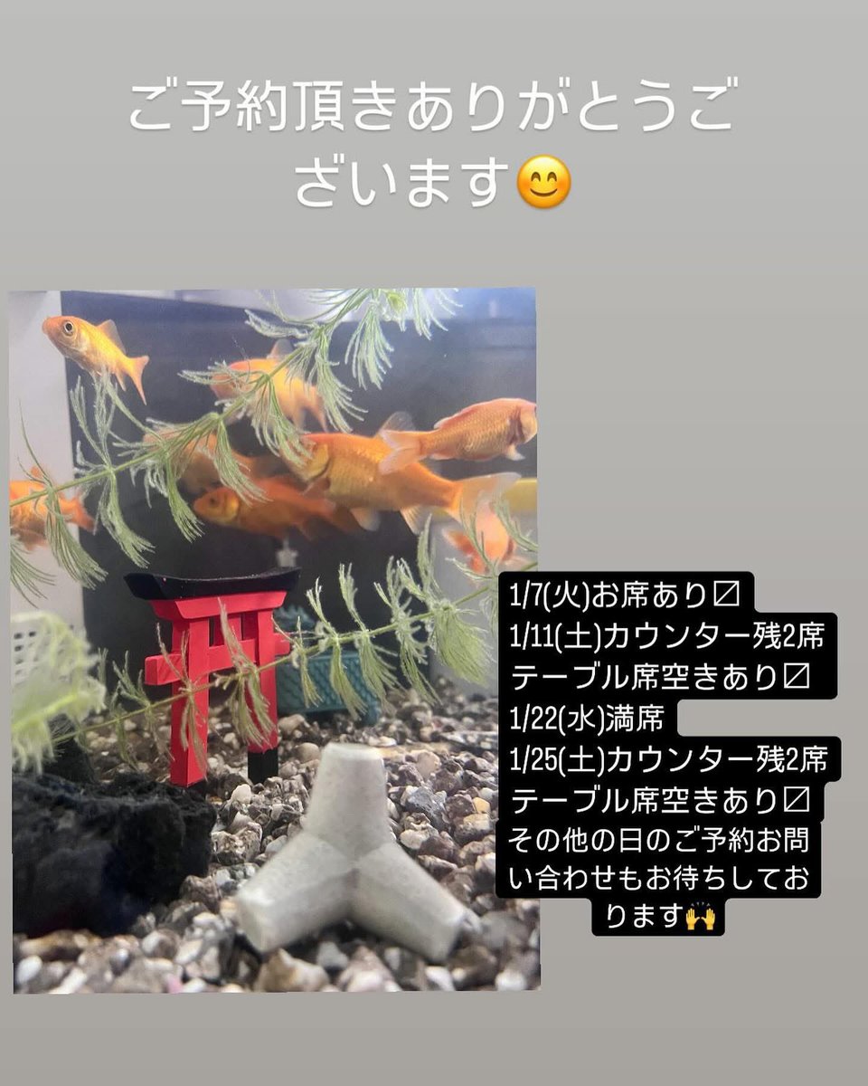 sushiikkan's tweet photo. おはようございます☀️

本日お席空き有り〼
1/11(土)カウンター残2席テーブル空き有り
1/22(水)満席
1/25(土)カウンター残2席テーブル空き有り

その他の日のご予約お問い合わせもお待ちしております。 https://t.co/QMCnKRXJyu