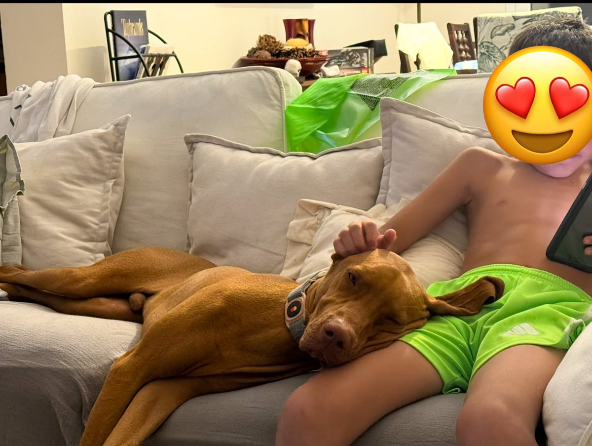 El auténtico perro faldero 🤣 Así 7X24 
Bueno con más energía también