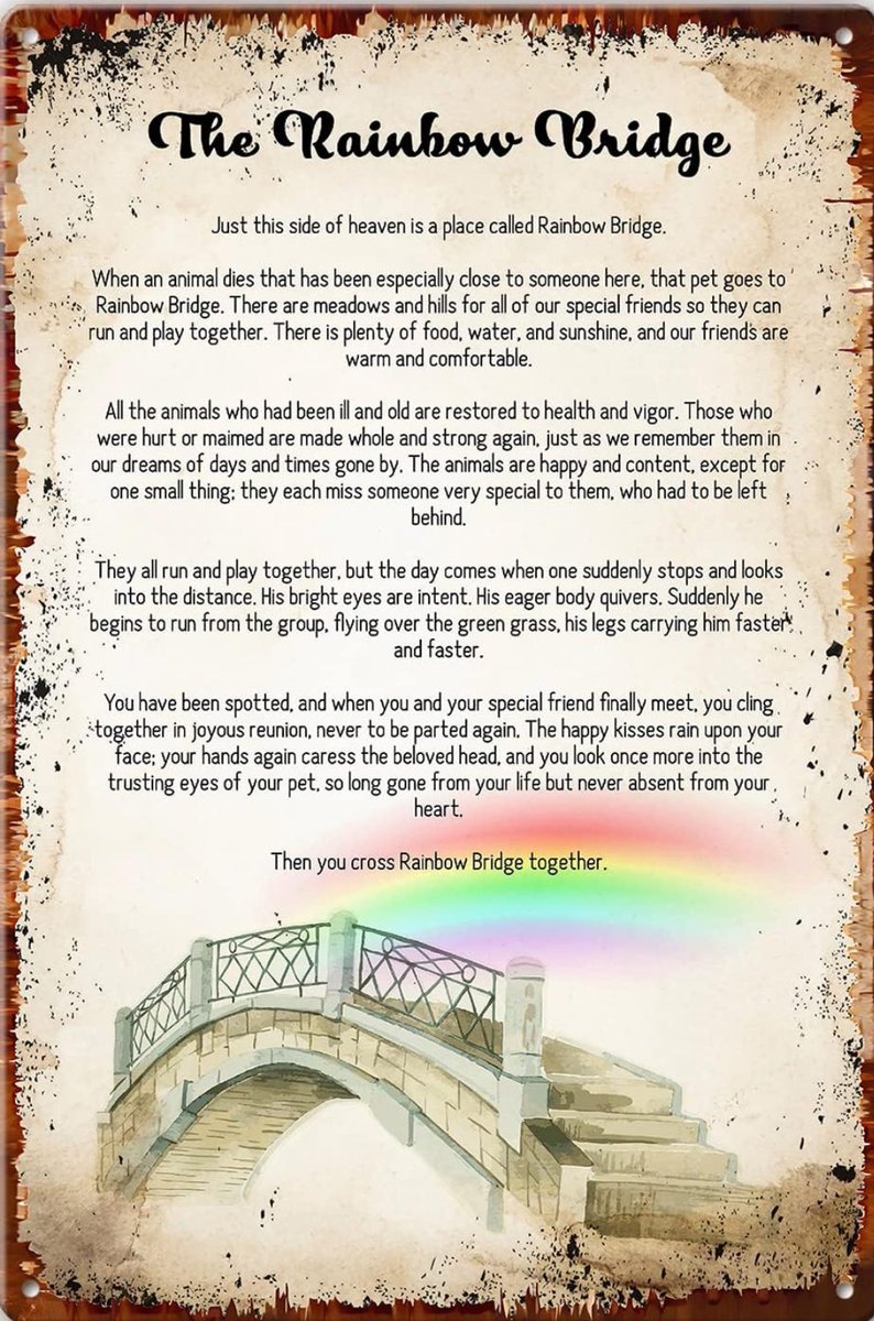 tpf68's tweet photo. We lost our Bella this weekend… a piece of our heart went with her across the rainbow bridge 💔 https://t.co/4NJoSqgR9d