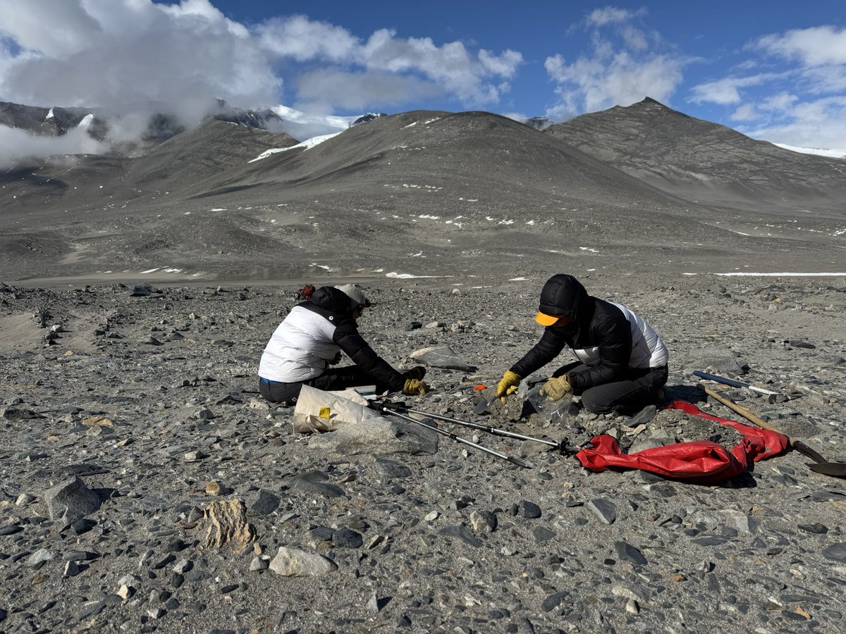 Dan Morgan tweet media