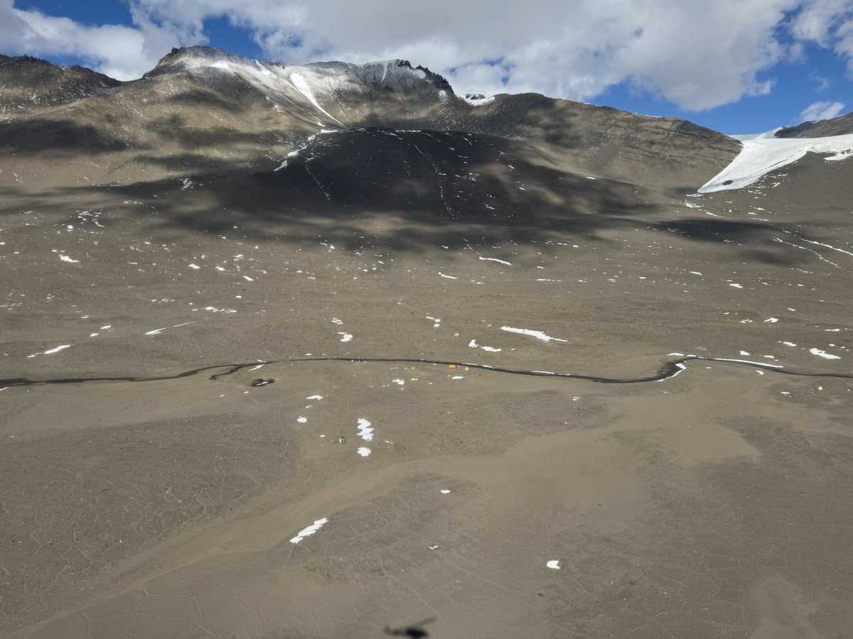 Dan Morgan tweet media