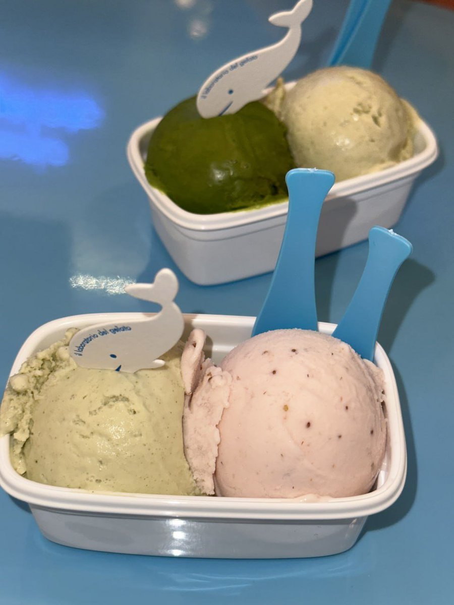 JDemetricelm's tweet photo. Hi, what did you have for lunch? https://t.co/zwFQlpplSg