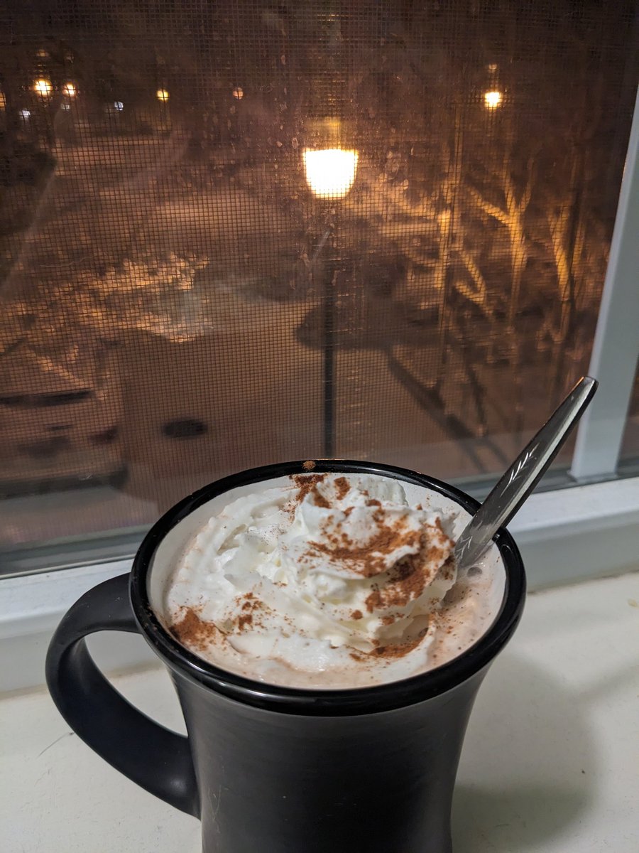 What a lovely #SnowDay! And there's another one tomorrow too! I'm trying to decide what to play and I'll be live tonight! #Twitch #NoSchool