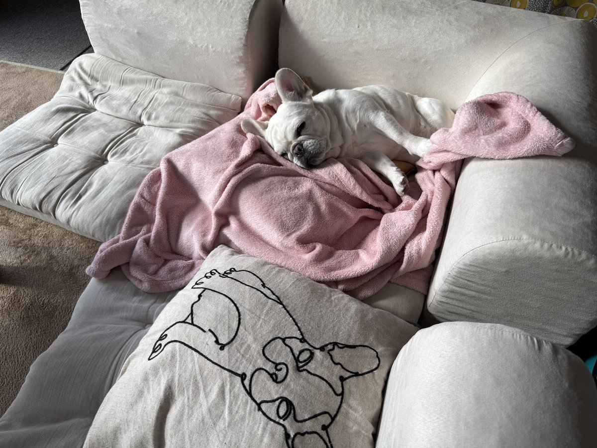 あけましておめでとうございます。
寝正月継続中の犬です。