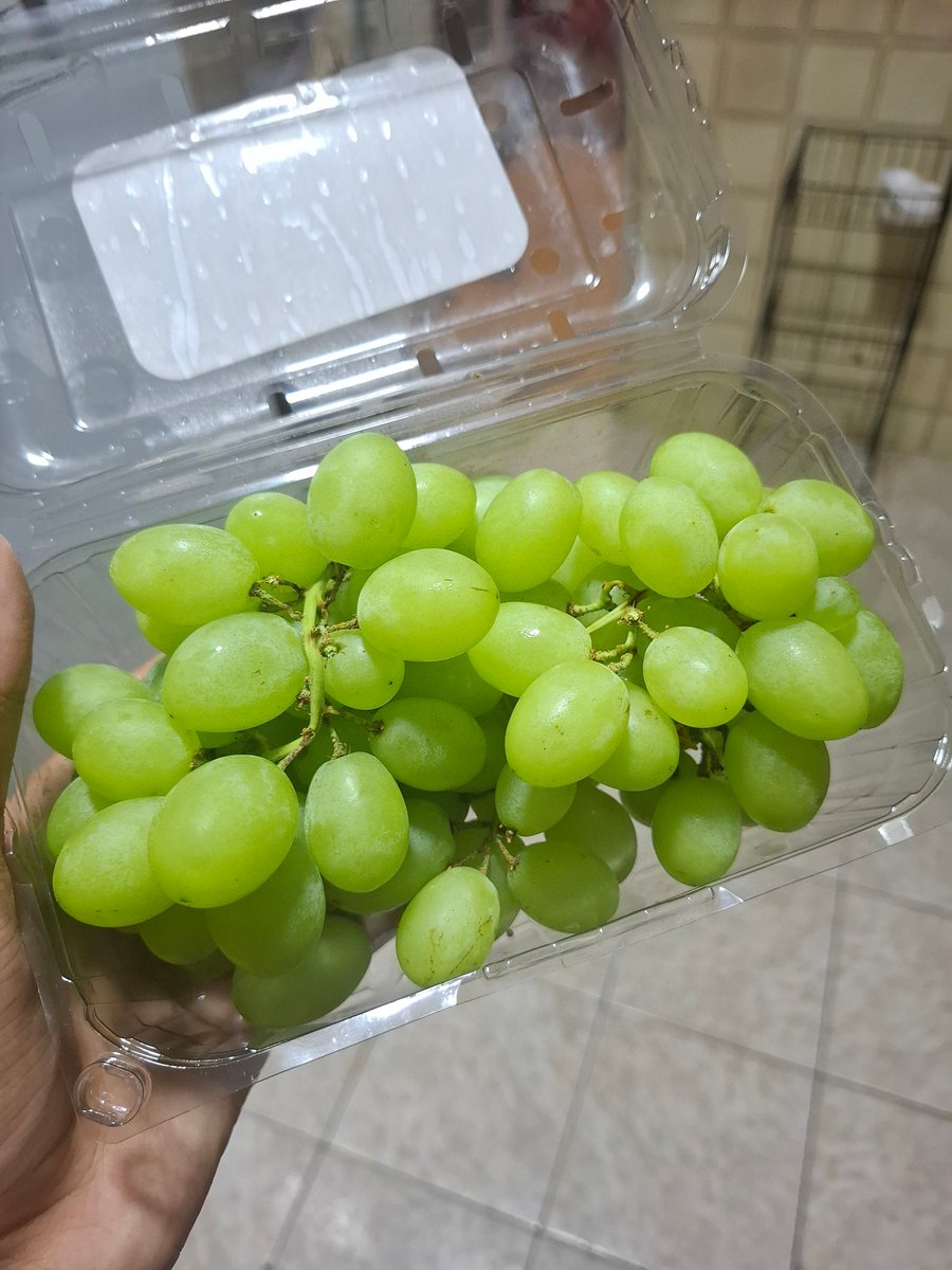 linda a pipoca da natureza a uva verde geladinha sem caroço criação divina celestial fascinante maravilha gastronômica