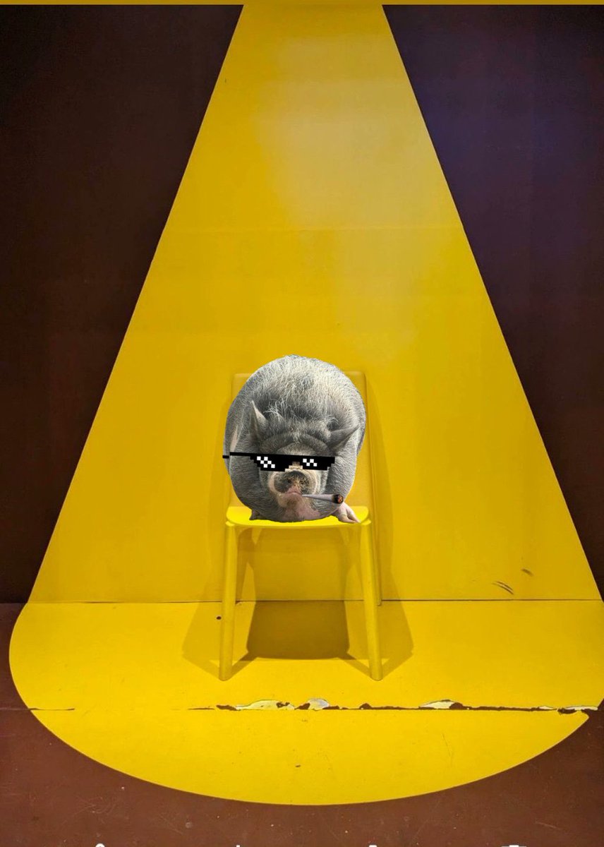 muhammadshahir_'s tweet photo. Hey there, @NikePig_ADA! GM ☀️🐽

I’ve got a special throne and spotlight just for you, the most amazing and good pig of @IOHK_Charles! 🚬😎

HODL $NikePIG $NIKE 📈 https://t.co/E3GOt1GtYb
