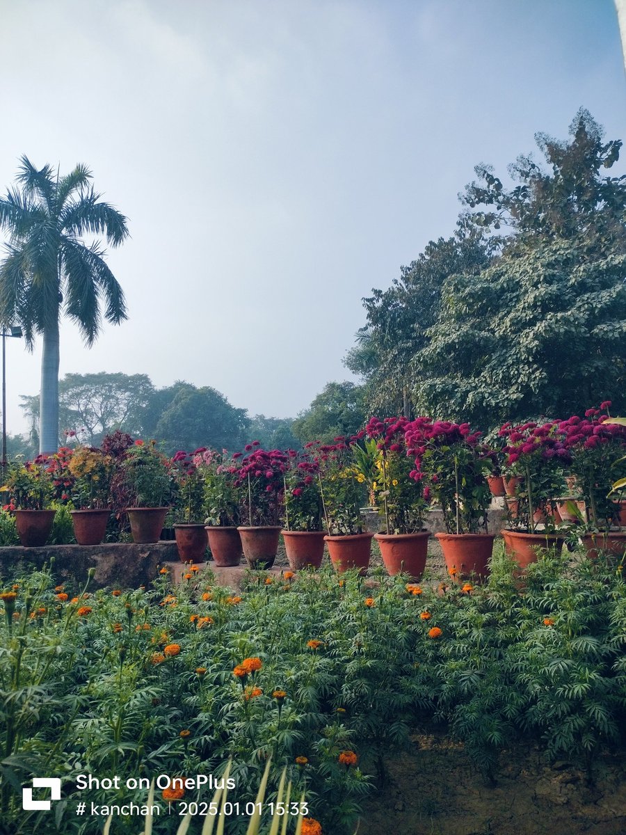 KanchanYad64406's tweet image. Good morning everyone 🌞 
#hmpvvirus #HMPV 
#Reward_Program 
#श्रीराम 🙏🙏