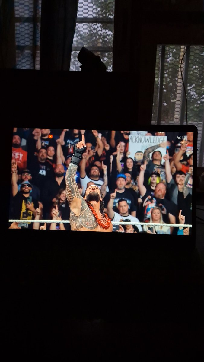 DevrajS76347820's tweet photo. The Tribal Chief ! ROMAN REIGNS ☝🏻 #WWEonNetflix https://t.co/n5vAJEPdlR