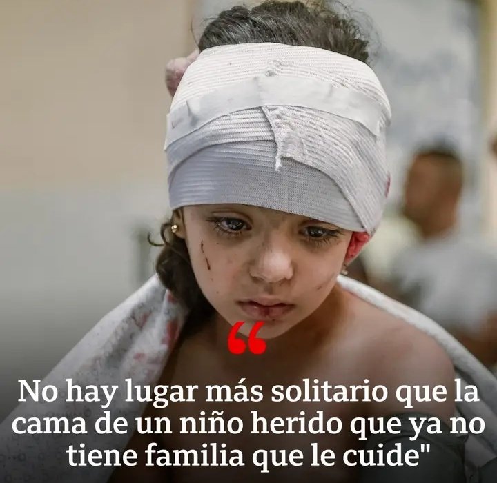 No permitas que pase un sólo día sin hablar de Palestina 🇵🇸
Cese el G3NOC1D1O
Retuitea 🔁