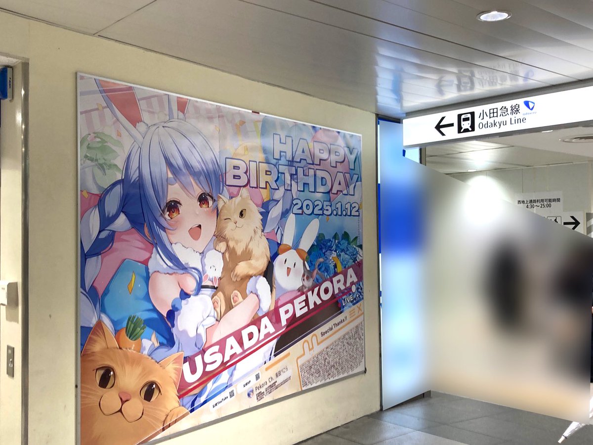 👯‍♀️兎田ぺこら生誕祭2025記念ファン有志企画👯‍♀️】 野うさぎ
