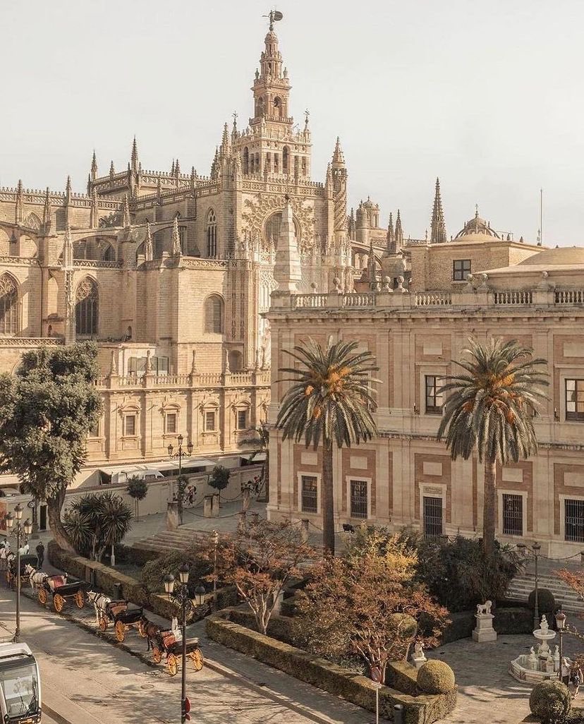 Beautynature_'s tweet image. Seville, Spain 🇪🇸