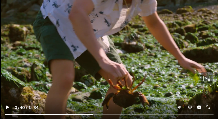 nick kaman (THE OTHER CRAB) tweet media