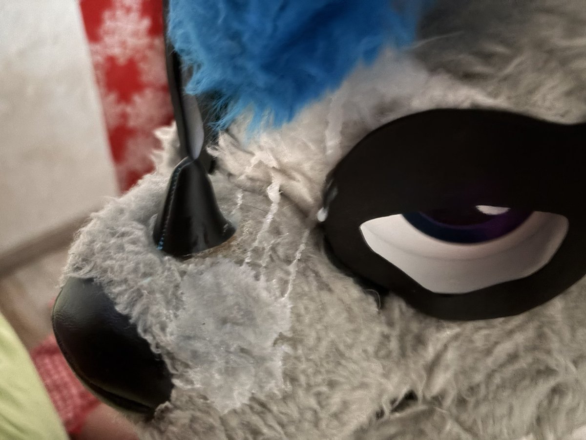 MaxDhusky's tweet photo. I was a good girl this morning ~ #furrynsfw #nsfw #murrsuit #nsfwfurry https://t.co/YLH8tSUmu3