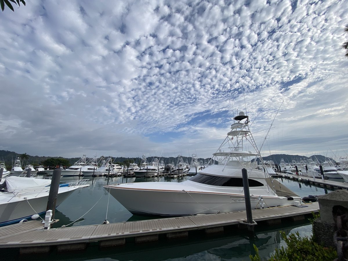 Ron Miller tweet media