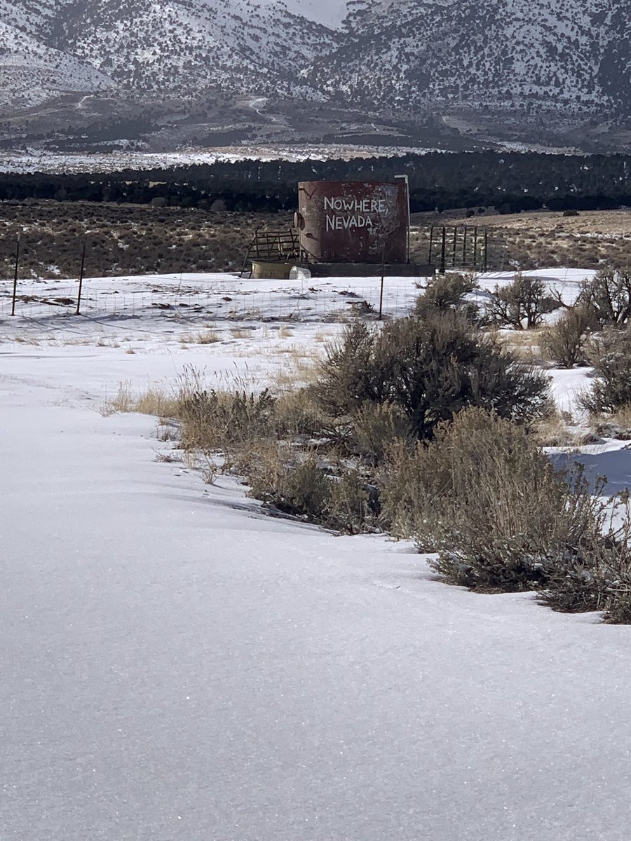 mindy pressman tweet media