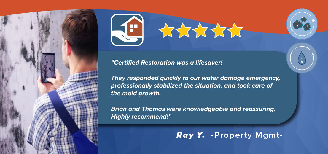 C_RestorationSD's tweet photo. We're humbled by the kind words from our valued client, Ray Y. 🙏
Thank you for trusting us.
Having mold issues in your property?
☎️Call us now - (619) 234-2500

#CertifiedRestoration #CustomerTestimonial #WaterDamageRestoration #MoldRemediation #SanDiego https://t.co/3my6Hc0u72