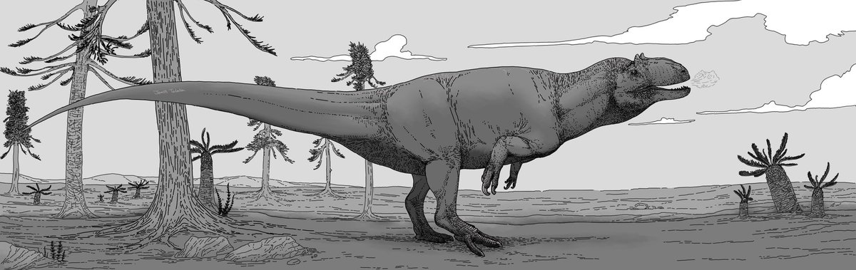 Haven’t posted here in a while as I have moved over to the other site but here is my first work of 2025
Allosaurus anax