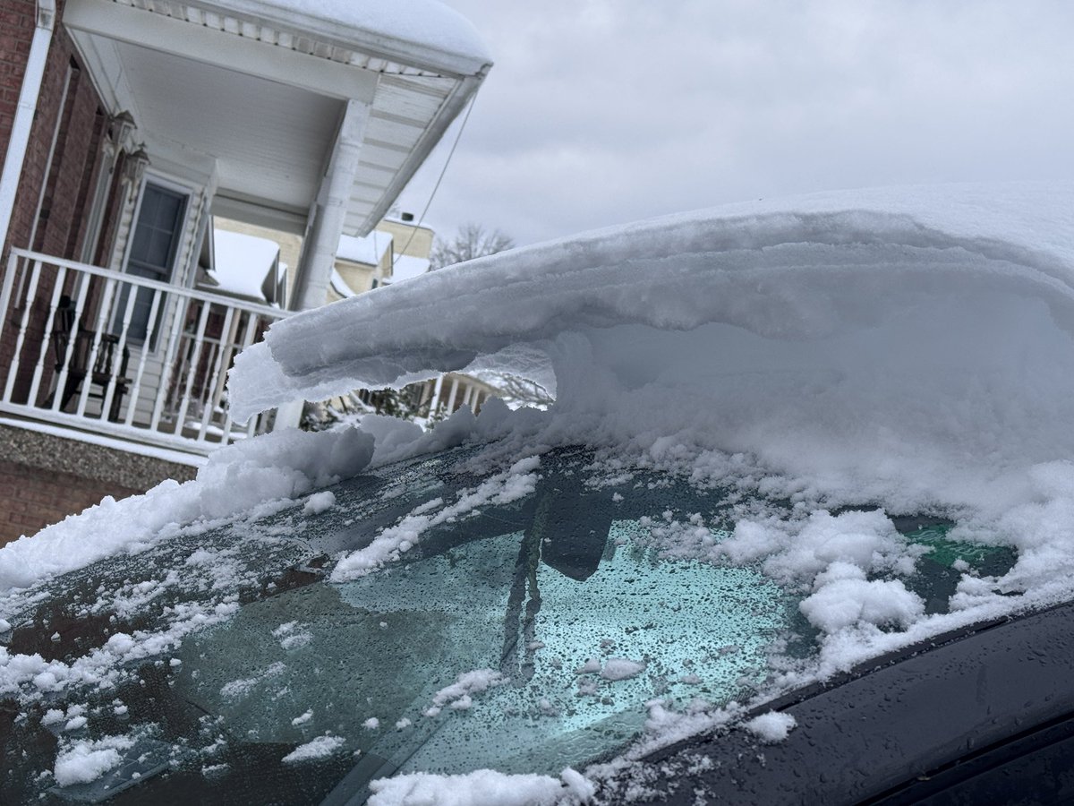 Bryan Morrison tweet media