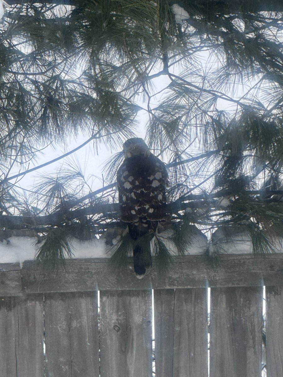 Bryan Morrison tweet media