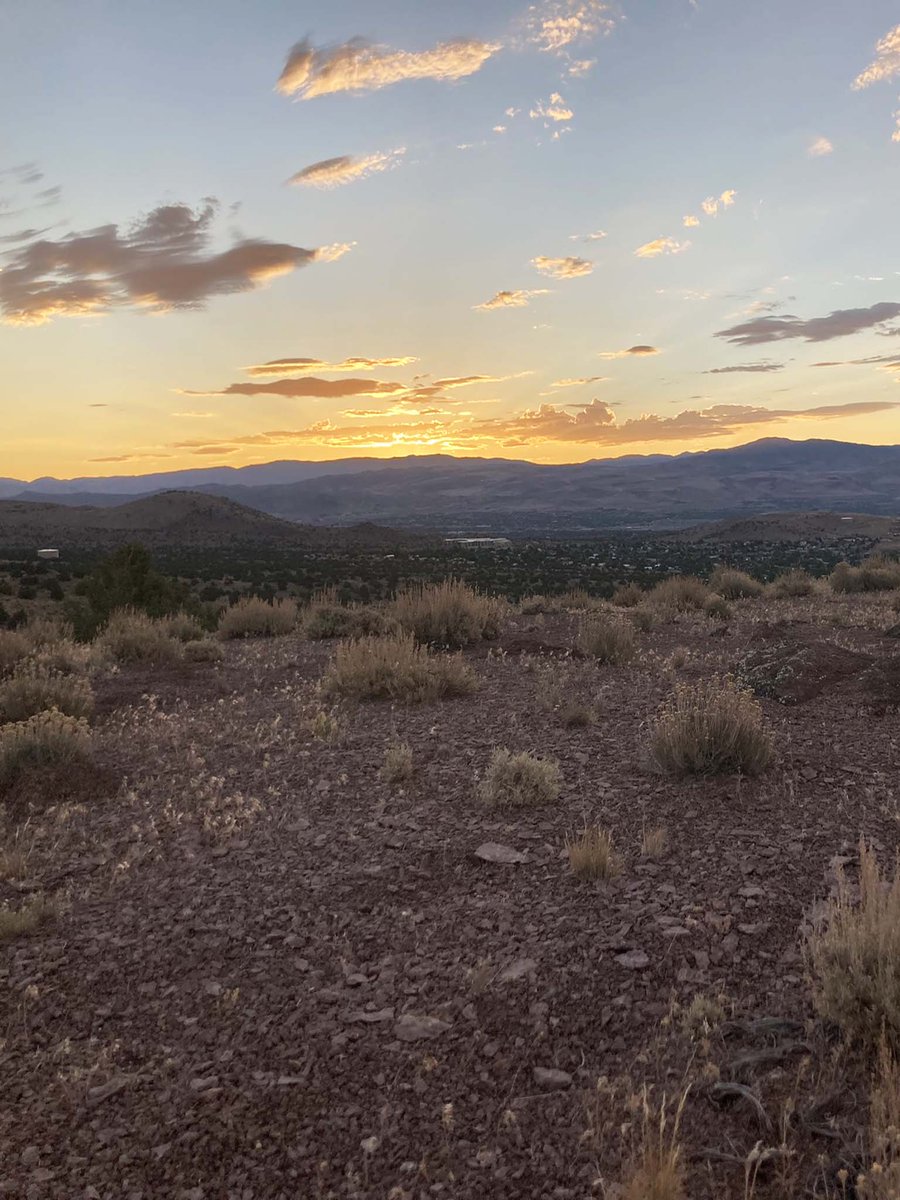 StockBrain99's tweet image. Monday My Daily Video and trading statistics for today are now posted here: short-term-stocktrading.com #stocks