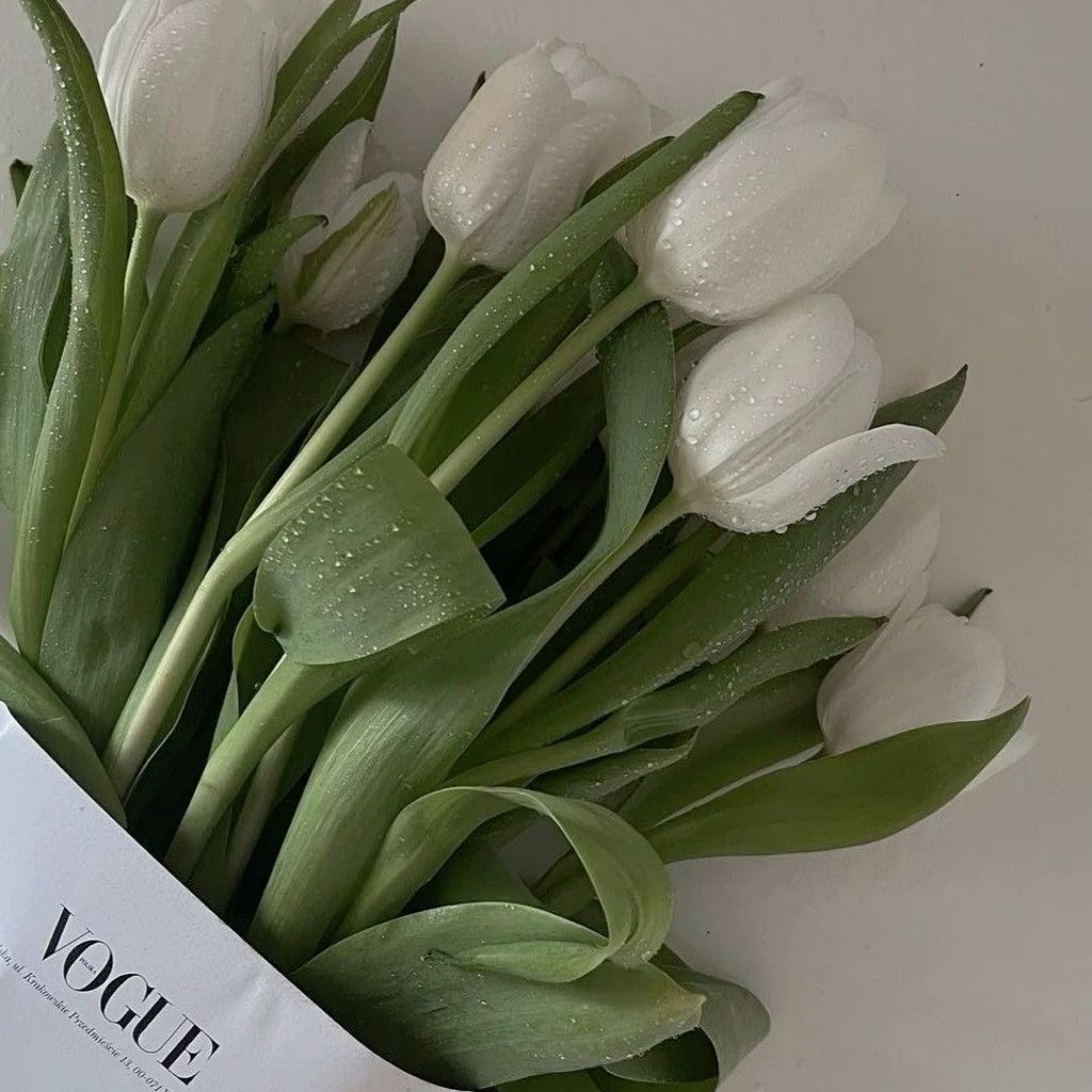 ᨐᵉᵒʷ tweet media