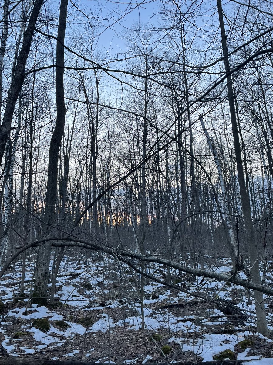 Hating on winter is so last season ❄️