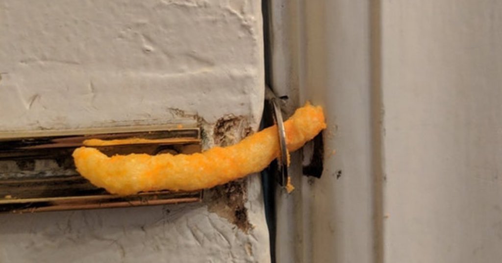 el sistema de seguridad de los novios #LaIslaDeLasTentaciones1