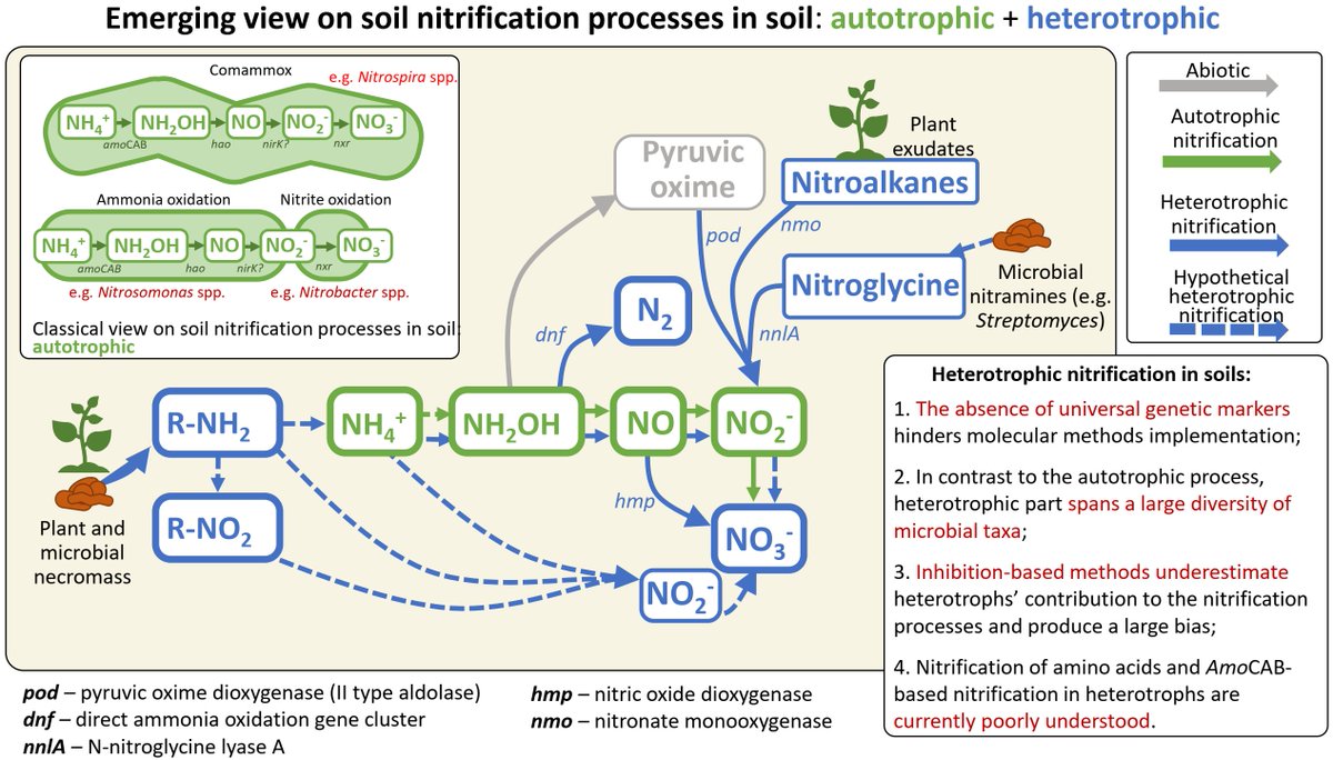 Yakov Kuzyakov . . . priming Soil Science tweet media