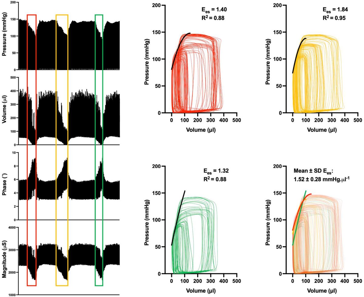 Kickstart 2025 with these new Guidelines for Assessing Ventricular Pressure-Volume Relationships in Rodents ow.ly/gqmN50UALLc

#Contractility  #PVloop  #Guidelines  #VentricularPressure
