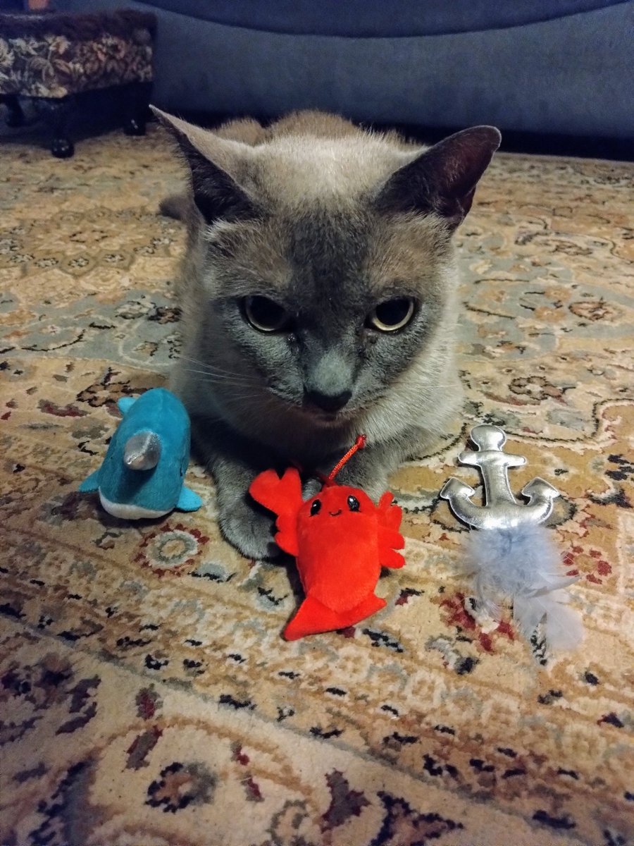 MML (@themarcelwave) on Twitter photo 